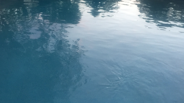 Lincoln, RI gunite pool restoration.