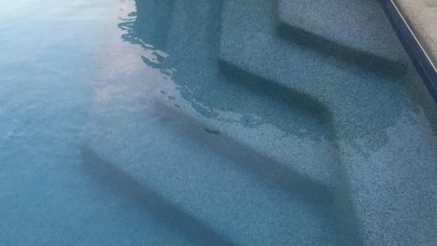 Lincoln, RI gunite pool restoration.