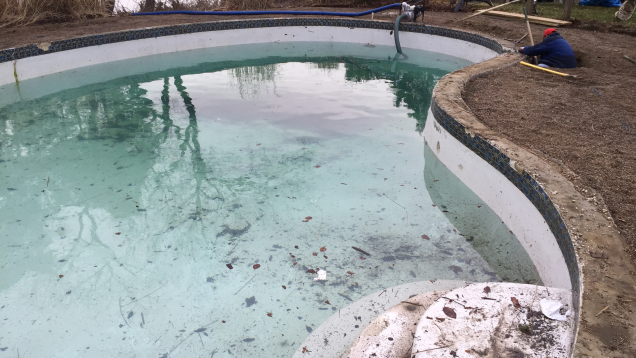 In-ground gunite pool in Jamestown, RI with crack and damage in need of restoration.